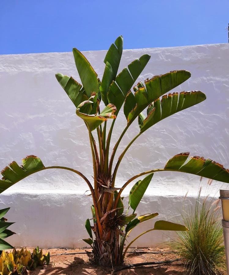 Casa Vivi Fuerteventura Lägenhet Corralejo Exteriör bild