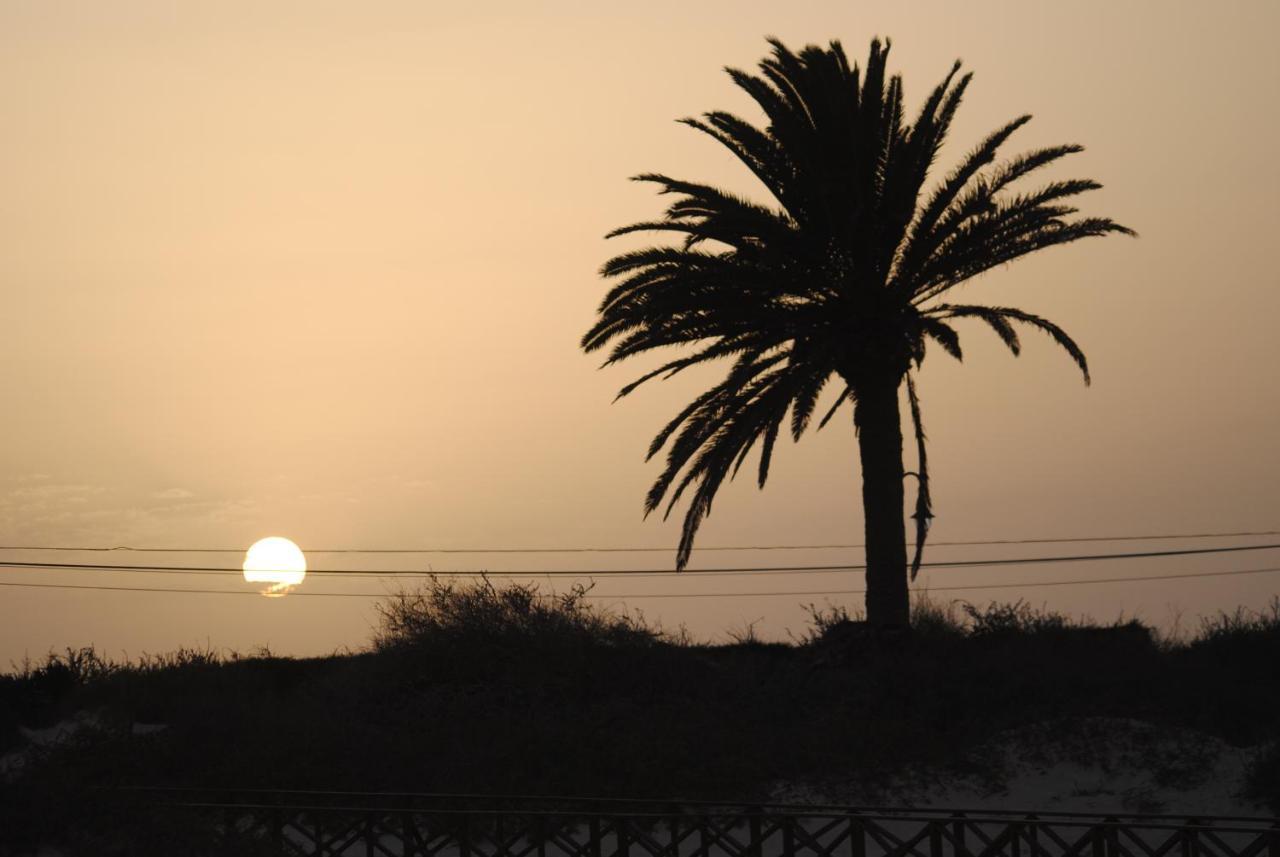 Casa Vivi Fuerteventura Lägenhet Corralejo Exteriör bild