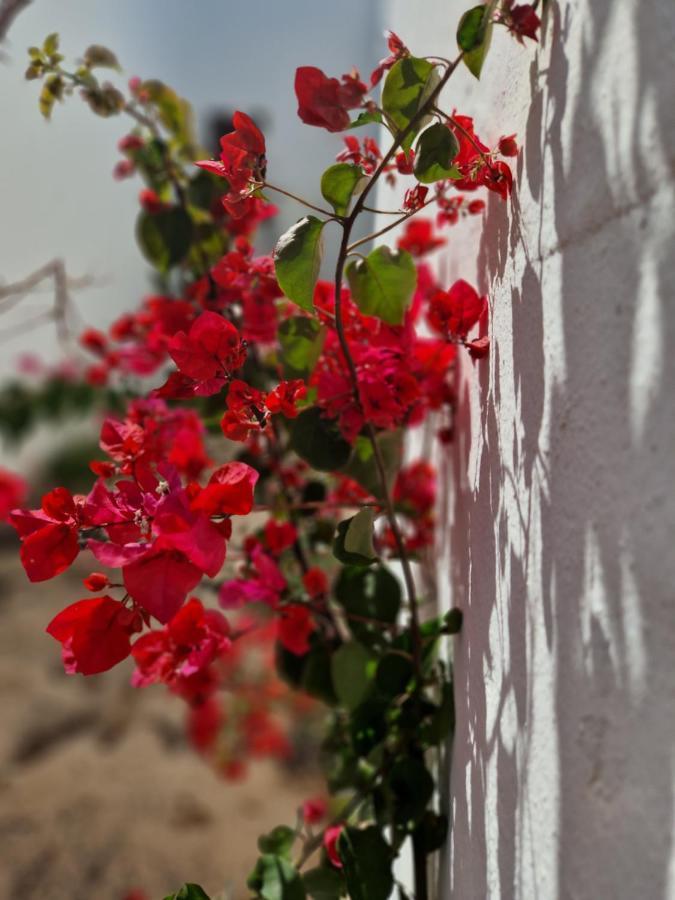Casa Vivi Fuerteventura Lägenhet Corralejo Exteriör bild